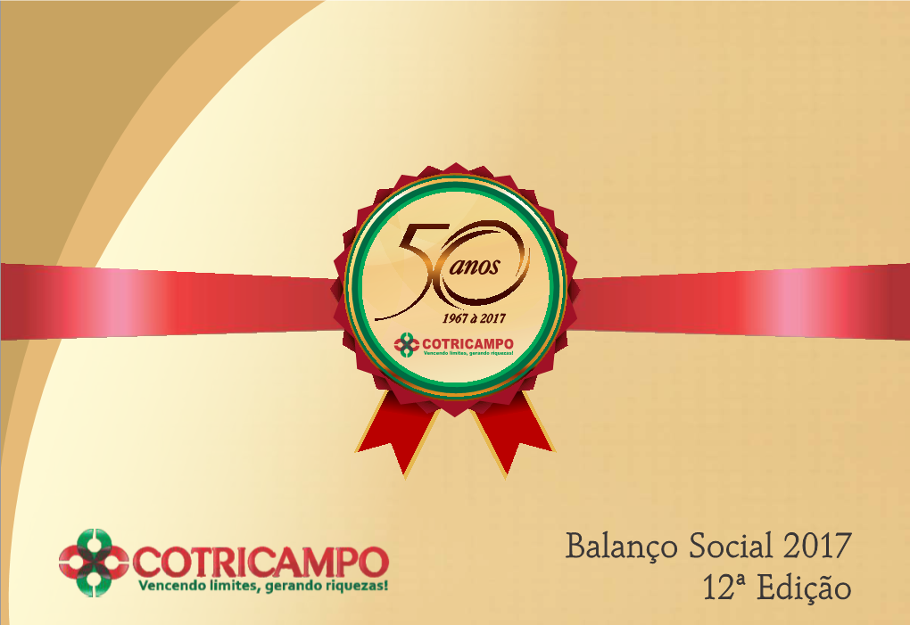 Balanço Social 2017 12ª Edição Sumário