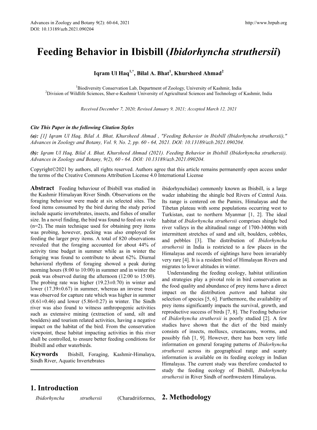 Feeding Behavior in Ibisbill (Ibidorhyncha Struthersii)