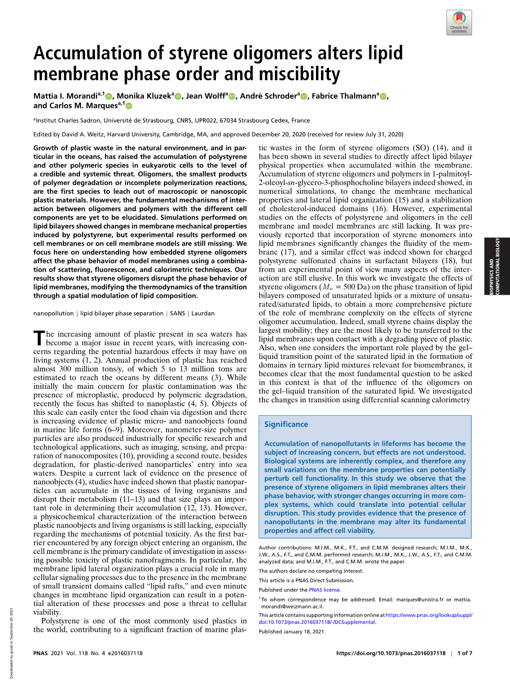 Accumulation of Styrene Oligomers Alters Lipid Membrane Phase Order