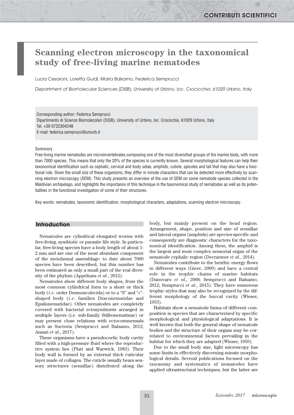 Scanning Electron Microscopy in the Taxonomical Study of Free-Living Marine Nematodes