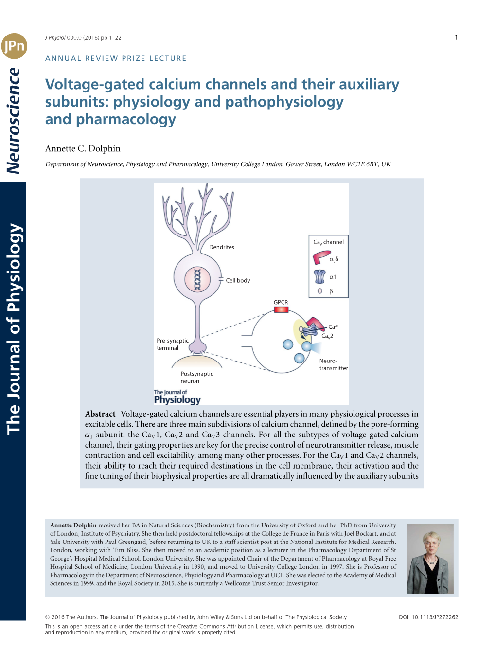 Gated Calcium Channels and Their Auxiliary Subunits: Physiology and Pathophysiology and Pharmacology