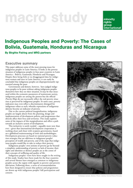 Indigenous Peoples and Poverty: the Cases of Bolivia, Guatemala, Honduras and Nicaragua by Birgitte Feiring and MRG Partners