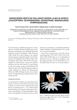 Rhinoceros Beetles Pollinate Water Lilies in Africa (Coleoptera: Scarabaeidae: Dynastinae; Magnoliidae: Nymphaeaceae)