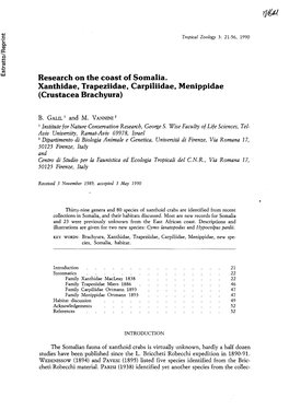 Research on the Coast of Somalia. Xanthidae, Trapeziidae, Carpiliidae, Menippidae (Crustacea Brachyura)