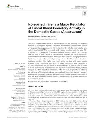 Norepinephrine Is a Major Regulator of Pineal Gland Secretory Activity in the Domestic Goose (Anser Anser)
