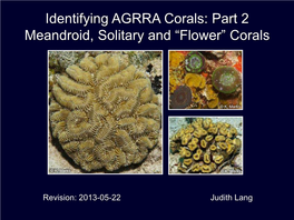 AGRRA-Coral-ID-Part