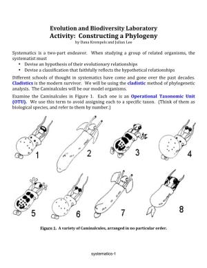 Activity: Constructing a Phylogeny by Dana Krempels and Julian Lee
