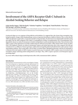 Involvement of the AMPA Receptor Glur-C Subunit in Alcohol-Seeking Behavior and Relapse