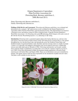 Oregon Department of Agriculture Plant Pest Risk Assessment for Flowering Rush, Butomus Umbellatus L