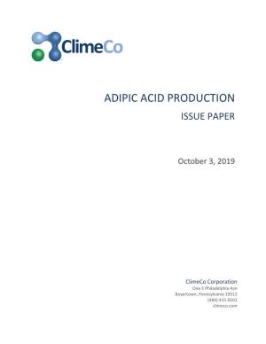 Adipic Acid Production Issue Paper