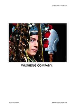 Wusheng Company Portfolio K2018engl