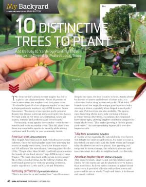 10Distinctive Trees to Plant