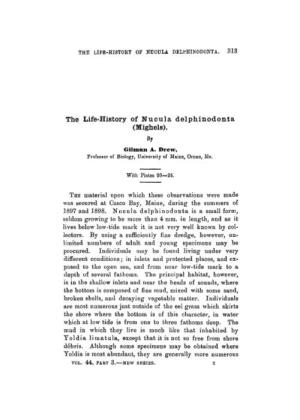 The Life-History of Nucula Delphinodonta (Mighels). by Oilman A