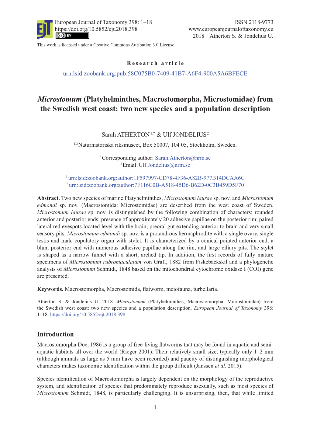 Microstomum (Platyhelminthes, Macrostomorpha, Microstomidae) from the Swedish West Coast: Two New Species and a Population Description