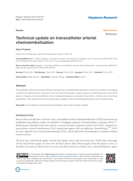 Technical Update on Transcatheter Arterial Chemoembolization