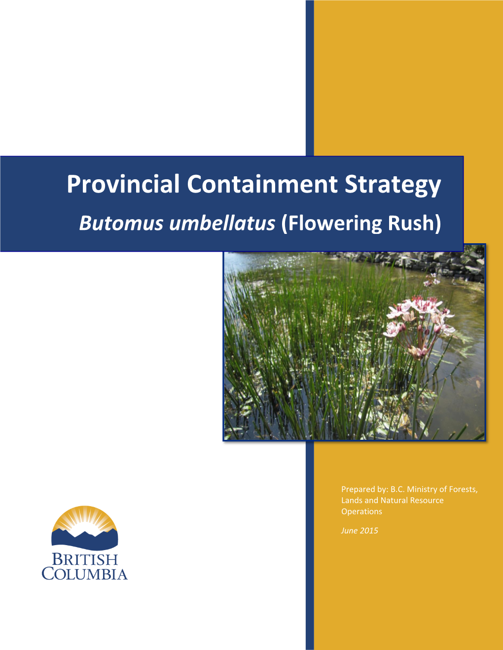 Provincial Containment Strategy