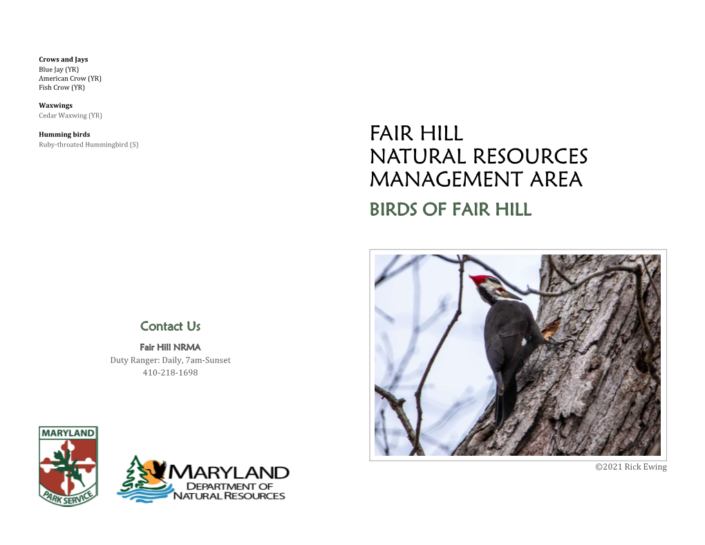 Birds of Fair Hill Brochure