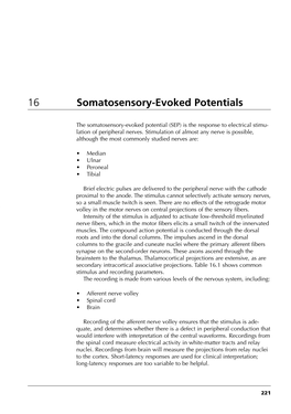 16 Somatosensory-Evoked Potentials