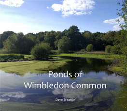 Ponds of Wimbledon Common