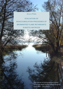 Evaluation of Bioaccumulation Processes of Brominated Flame Retardants in Biotic Matrices