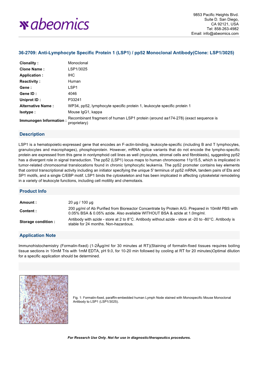 LSP1) / Pp52 Monoclonal Antibody(Clone: LSP1/3025