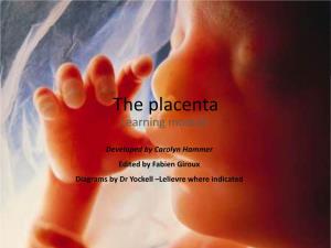 The Placenta Learning Module
