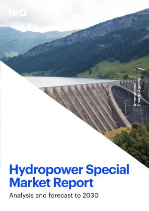 Hydropower Special Market Report Analysis and Forecast to 2030 INTERNATIONAL ENERGY AGENCY