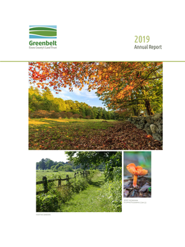 2019 Annual Report