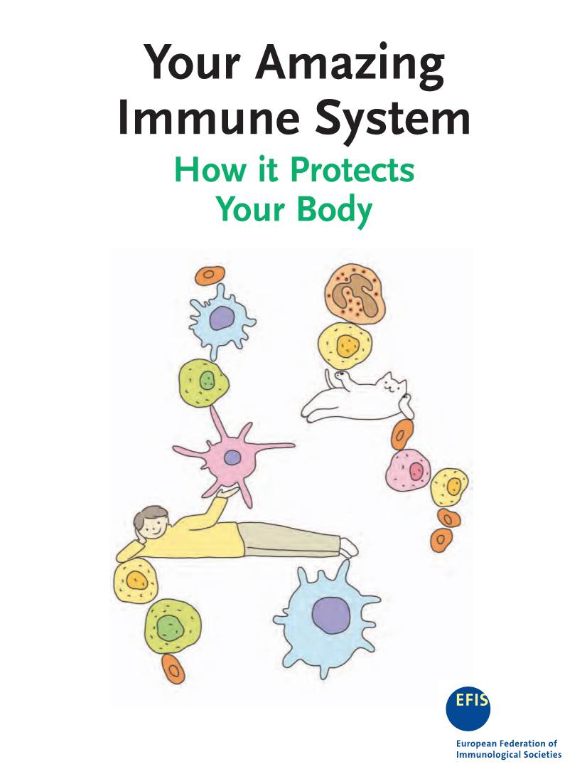 Your Amazing Immune System How It Protects Your Body