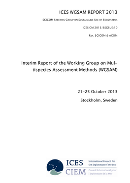 Wgsam Report 2013