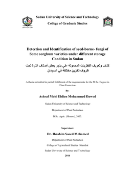 Detection and Identification of Seed-Borne- Fungi Of