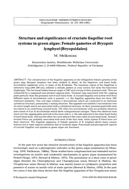 Structure and Significance of Cruciate Flagellar Root Systems in Green Algae: Female Gametes of Bryopsis Lyngbyei (Bryopsidales)