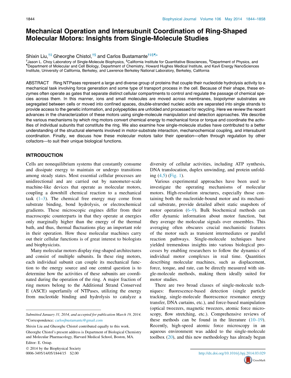 Mechanical Operation and Intersubunit Coordination of Ring-Shaped Molecular Motors: Insights from Single-Molecule Studies