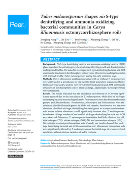 Tuber Melanosporum Shapes Nirs-Type Denitrifying and Ammonia-Oxidizing Bacterial Communities in Carya Illinoinensis Ectomycorrhizosphere Soils