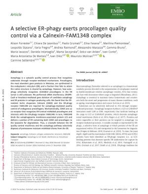 A Selective ER-Phagy Exerts Procollagen Quality Control Via a Calnexin-FAM134B Complex