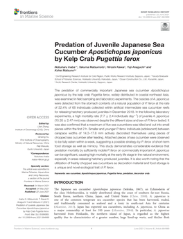 Predation of Juvenile Japanese Sea Cucumber Apostichopus Japonicus by Kelp Crab Pugettia Ferox