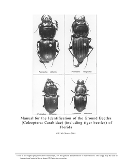Coleoptera: Carabidae) (Including Tiger Beetles) of Florida