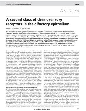 A Second Class of Chemosensory Receptors in the Olfactory Epithelium