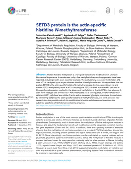 SETD3 Protein Is the Actin-Specific Histidine N-Methyltransferase