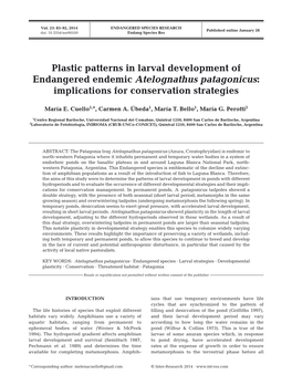 Plastic Patterns in Larval Development of Endangered Endemic Atelognathus Patagonicus: Implications for Conservation Strategies