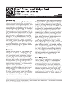 Leaf, Stem, and Stripe Rust Diseases of Wheat Guide A-415 Mark A