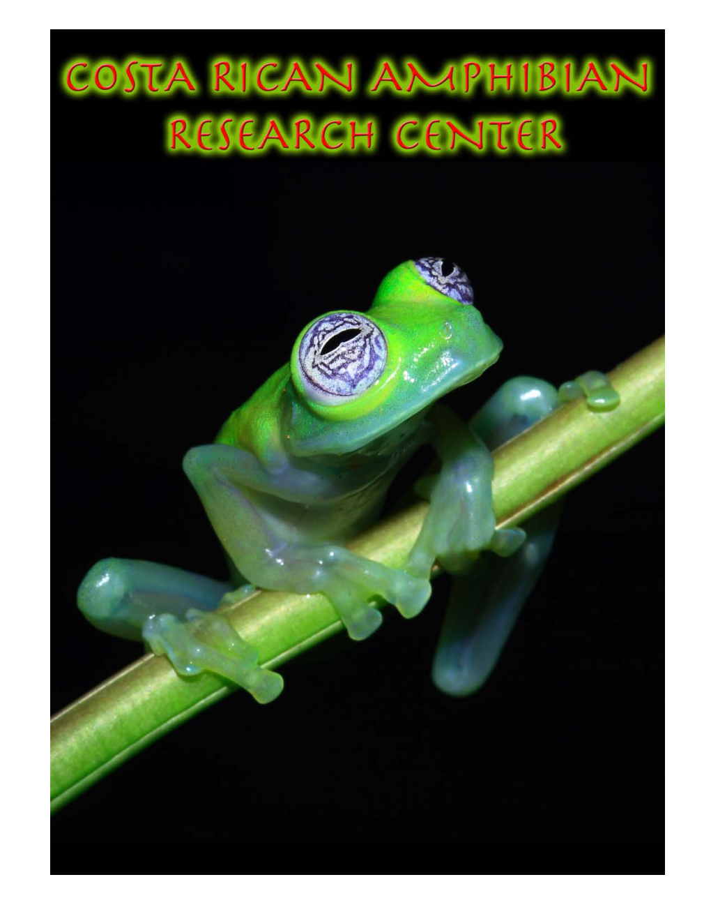 Dedicated to the Conservation and Biological Research of Costa Rican Amphibians”