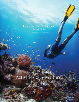 Little Palm Island Activity Adventure Information 2020