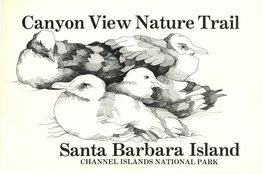 Canyon View Nature Trail Santa Barbara Island