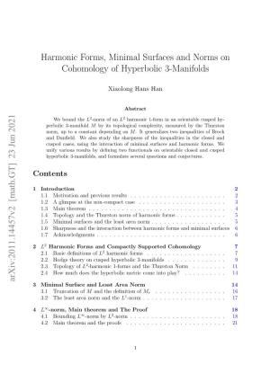 Harmonic Forms, Minimal Surfaces and Norms on Cohomology of Hyperbolic 3-Manifolds