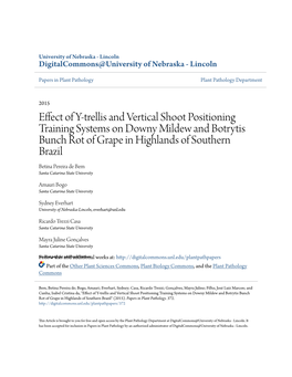 Effect of Y-Trellis and Vertical Shoot Positioning Training Systems On