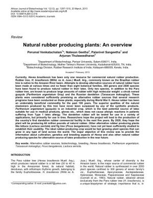 Natural Rubber Producing Plants: an Overview