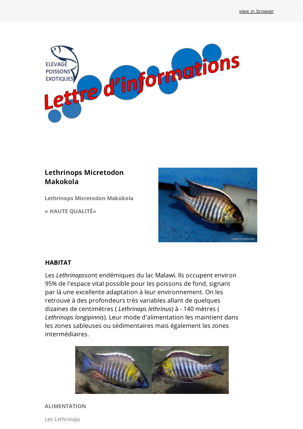 Lethrinops Micretodon Makokola