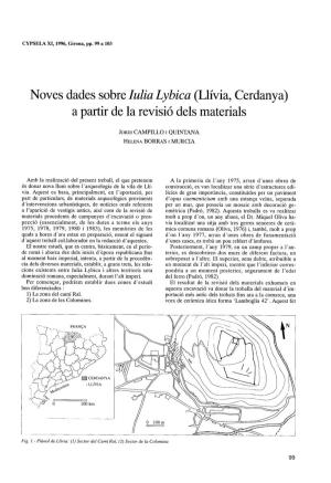 Noves Dades Sobre Lulia Lybica (Llivia, Cerdanya) a Partir De La Revisió Dels Materials