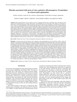 Phorids Associated with Nests of Atta Cephalotes (Hymenoptera: Formicidae) in a Forest and a Plantation